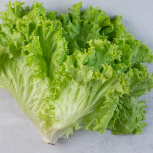 MD - Salata iceberg 20g
